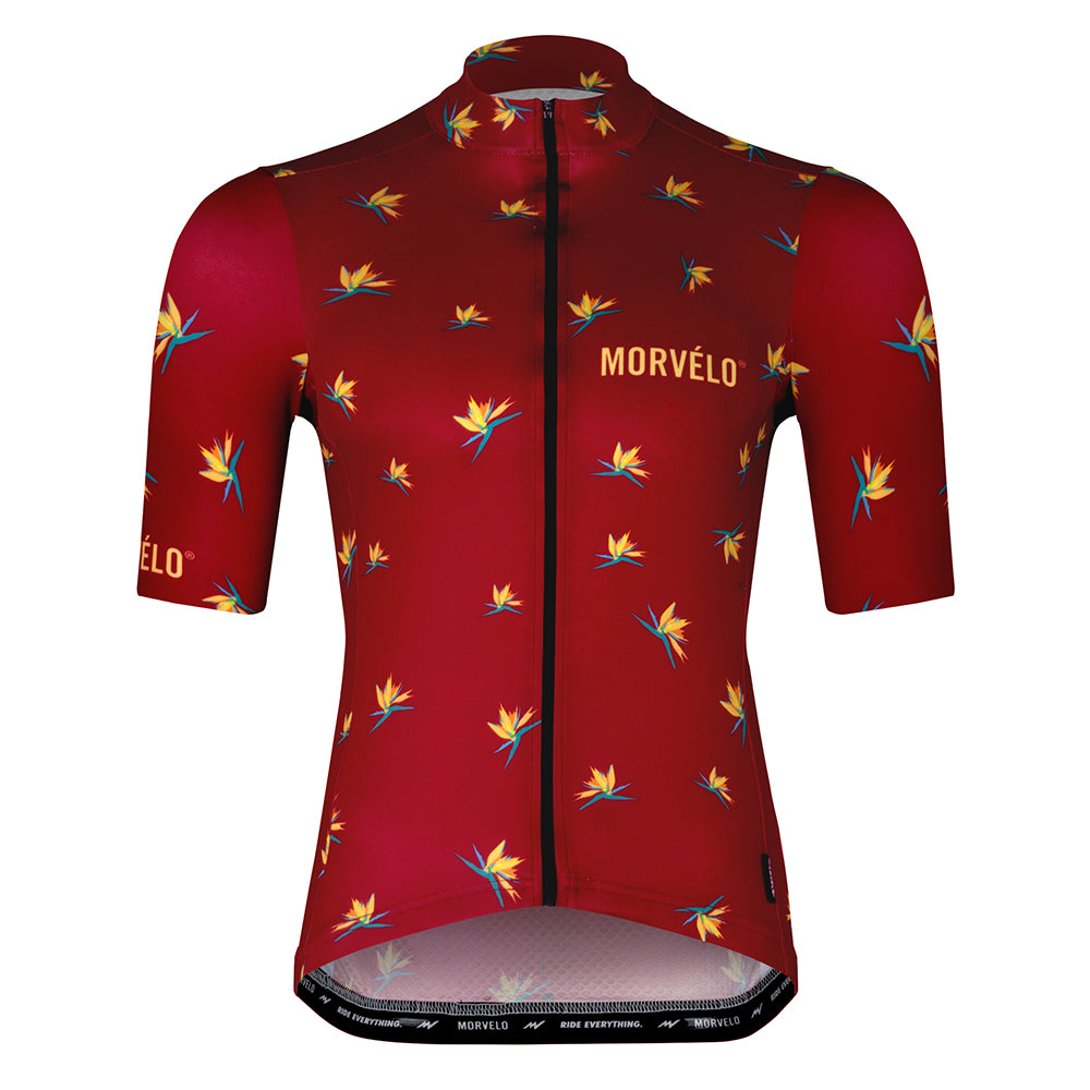 morvelo jersey