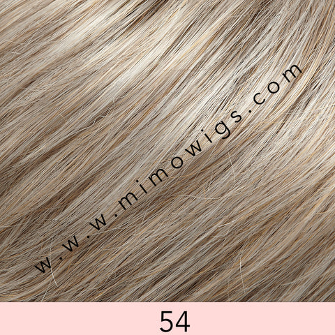 54 |  Light Grey with 25% Med Natural Gold Blonde