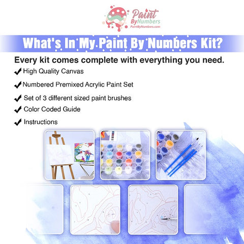 Flowery Gnome Paint By Numbers Kit