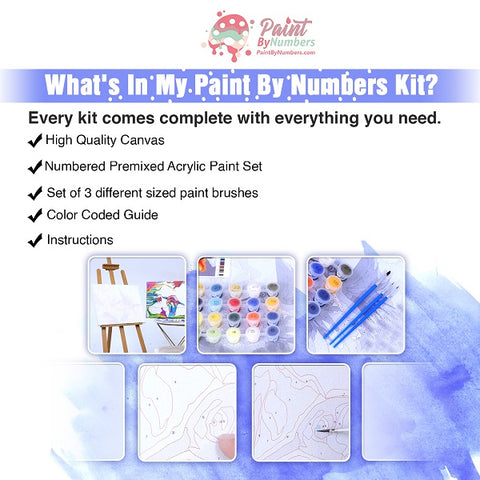 Giraffe Family Paint By Numbers Kit