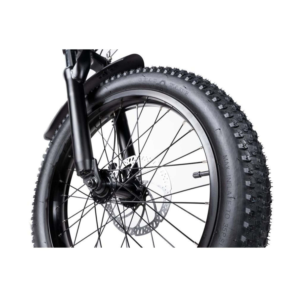 rattan folding ebike