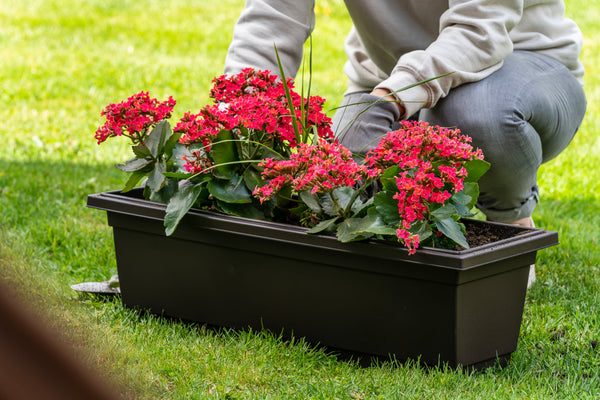 Garden bin