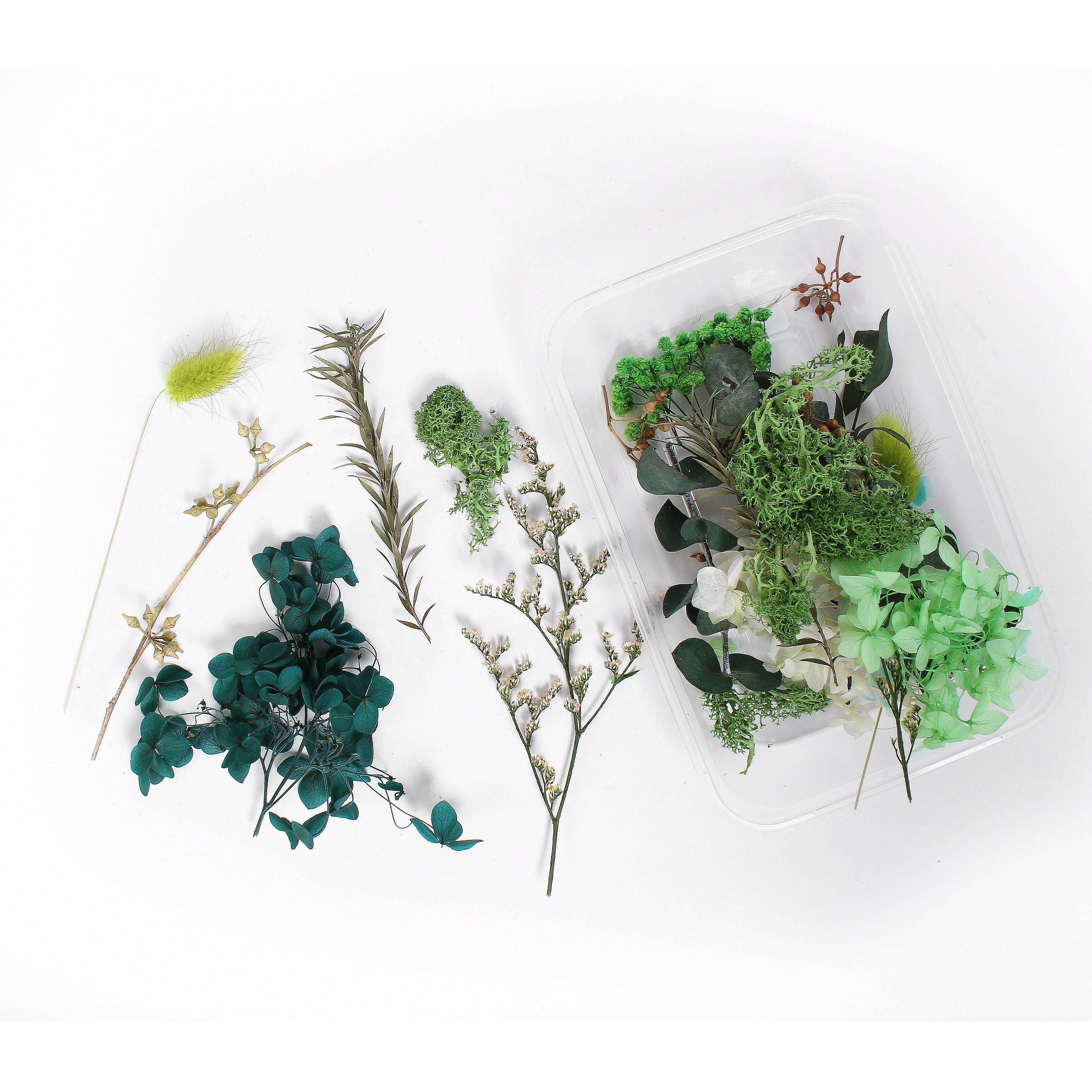 Natural Dried Flowers For Resin Art, Packaging Size: Medium Box at Rs  450/box in Bengaluru