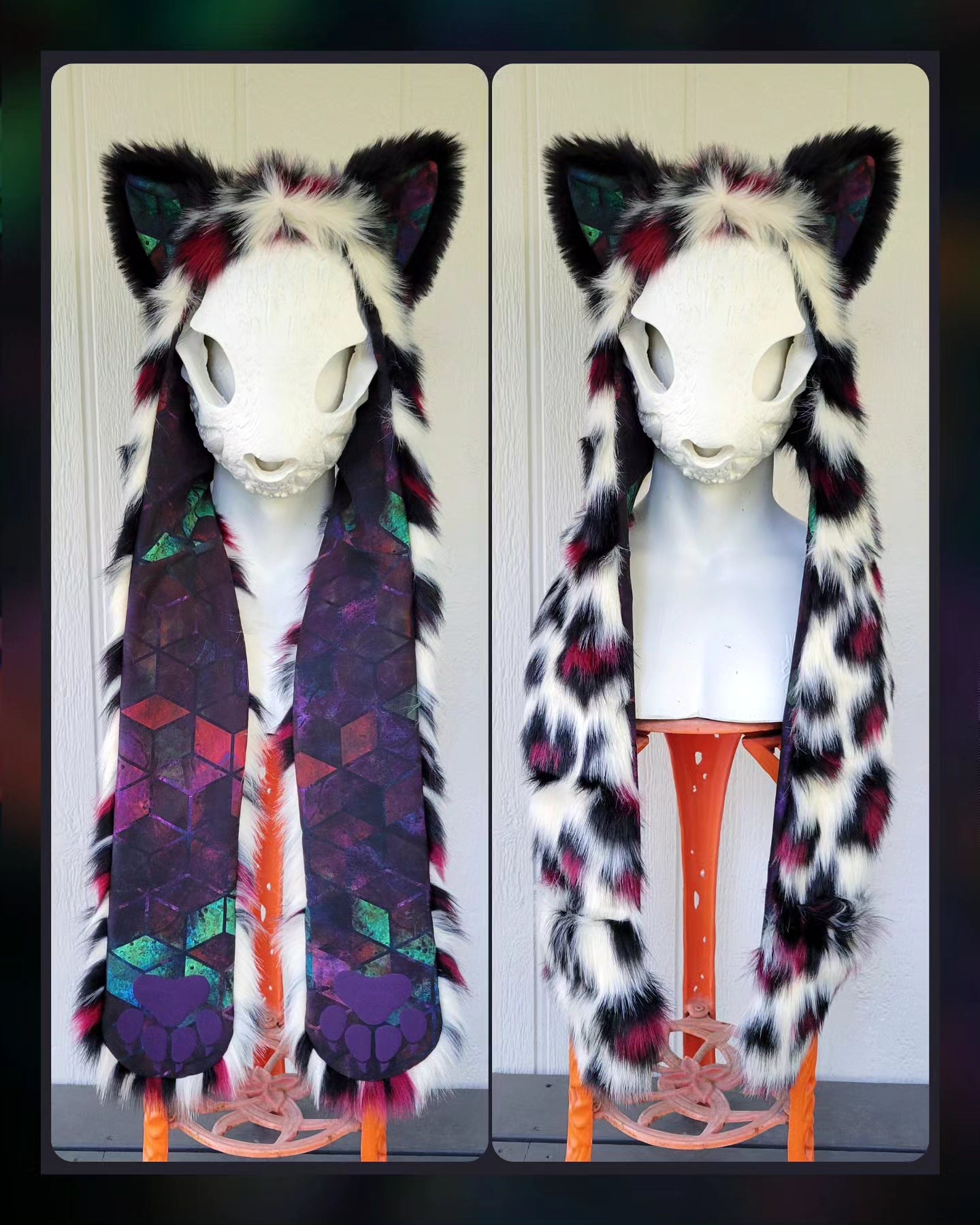 Crimson Leopard Kittens (Small & Large)