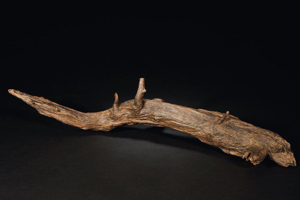 A piece of aloeswood or agarwood, a key ingredient for Chinese incense after Tang dynasty