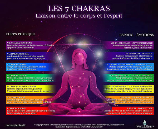 7 chakras explications