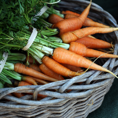 Carrot Nutritional Value