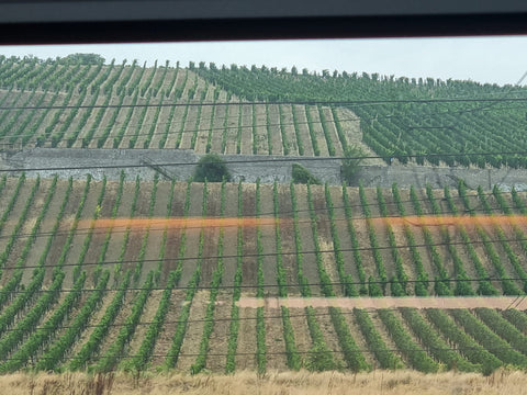 Countryside Scenery Near Bayreuth