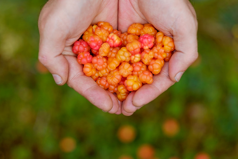 Cloudberries are rich in vitamins C and E.
