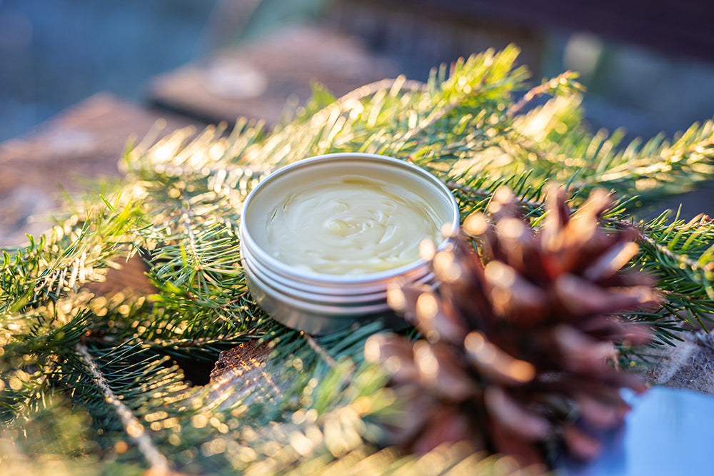 Spruce resin balm is a traditional remedy for skin diseases