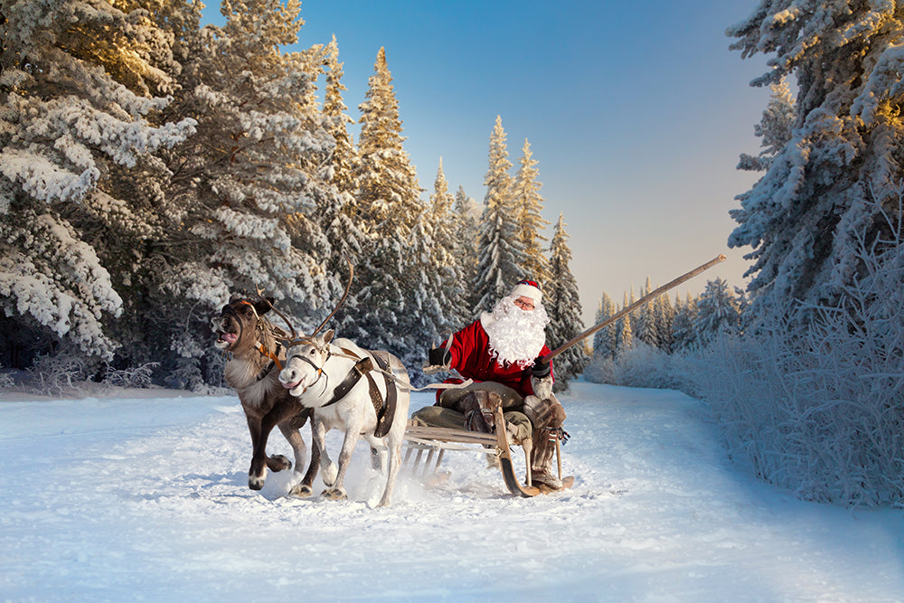 Santa Claus riding with his reindeer in Lapland