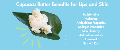 Benefits of Cupuacu Butter for Skin and Lips: Moisturizing, Hydrating, Anti-Inflammatory, Emollient, Collagen Production, Elasticity