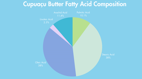 Benefits of Cupuaçu Butter for Skin and Lips: Fatty Acid Profile: Palmitic Acid 8-20%; Stearic Acid 30-45%; Oleic Acid 30-50%; Linoleic Acid 2-6%; Arachid Acid 9-13%