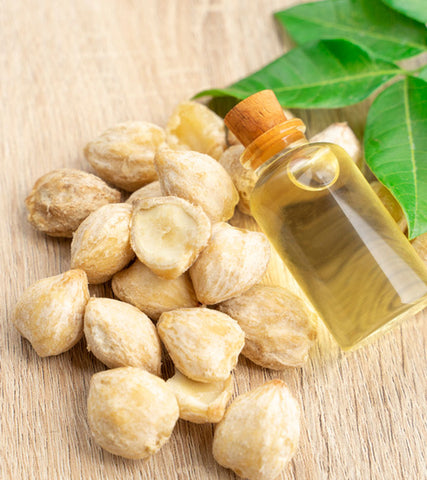 The Kukui Nut and Kukui Nut Oil