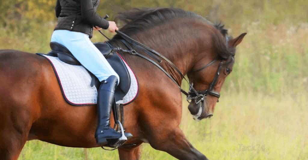 Horse Riding Boot