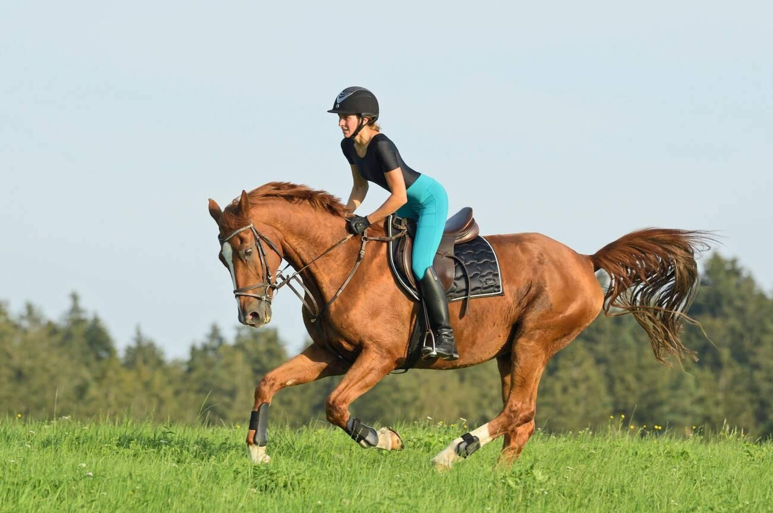 Horse Riding Boots