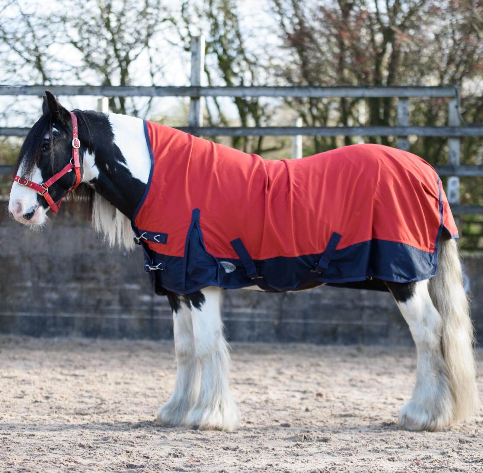 horse rug