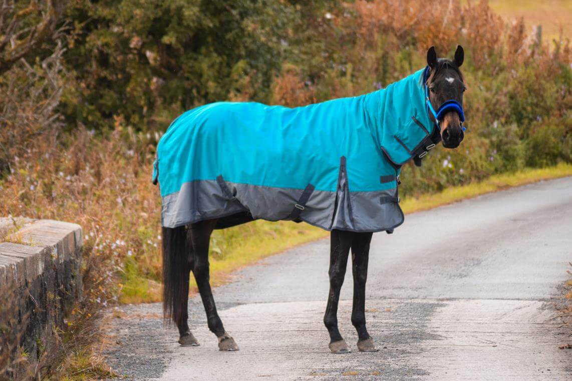 tack24's horse stable blankets