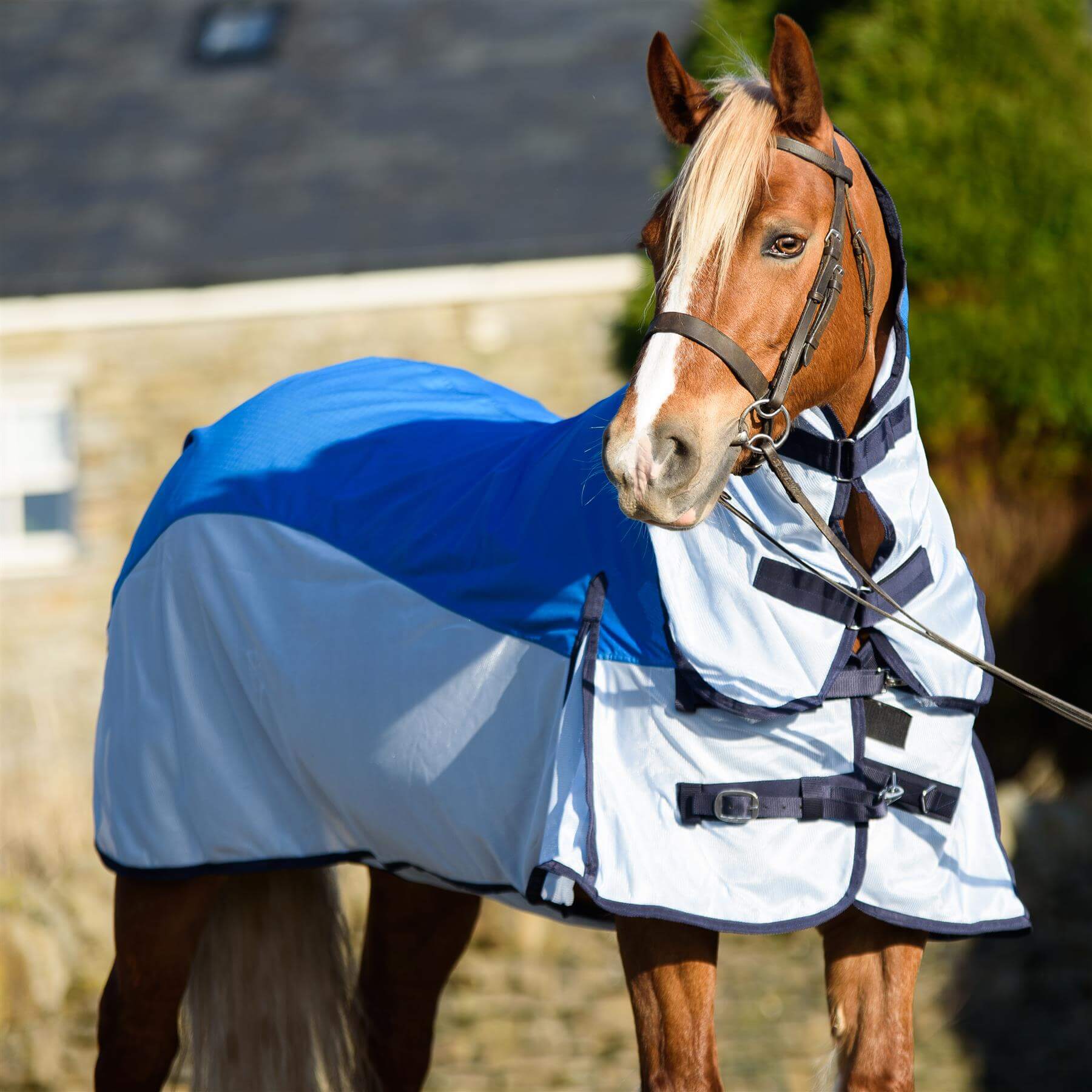 fly sheets for horse