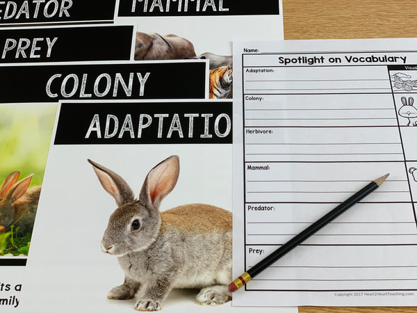 Rabbit vocabulary activities for kids
