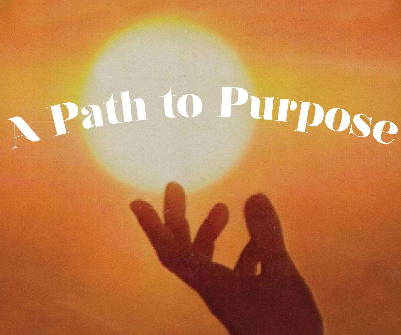 A path to purpose
