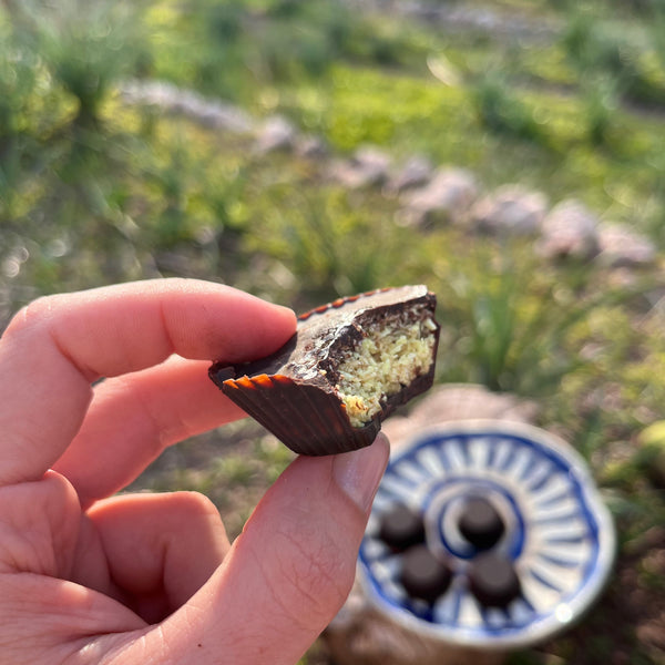 carob coconut cups by wunder workshop