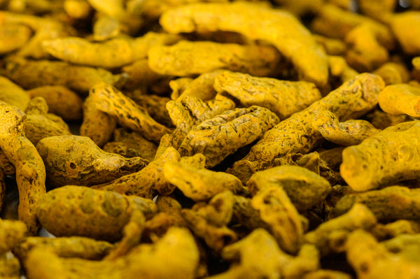 turmeric root in sri lanka wunder workshop