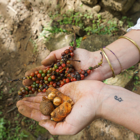 Turmeric, Black pepper 