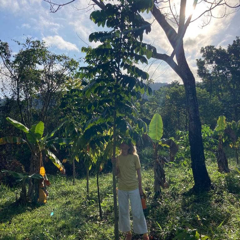 Jaguar Siembra Tree planting Wunder Forest