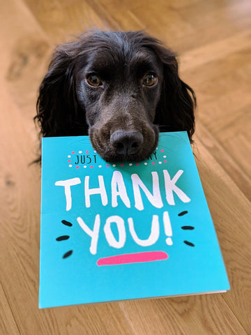 Black dog with thank you card in the mouth