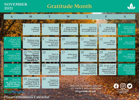 Gratitude Month _ Year of Wellness Calendar _ BioNeurix