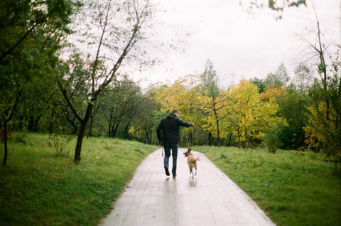 Man walking with dog on a cold weather