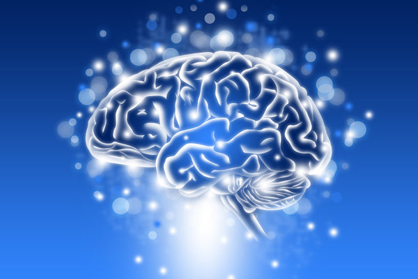 Understanding Your Mood: What Affects It?  Your mood is closely tied to what’s happening in your brain and body. Chemical compounds like serotonin and dopamine play a major role in shaping how you feel day to day. When these chemicals are out of balance, it can lead to symptoms of stress, anxiety, or even depression. Serotonin levels, in particular, are linked to a sense of well-being and calm.  Genetics and health conditions can affect these levels, but so can what you eat, how you sleep, and how much sunlight you get. Understanding the many pieces that influence mental health can help you make smarter, natural choices that support a more stable, positive mood. You can explore common serotonin deficiency symptoms or learn how to increase dopamine naturally to support your emotional balance better.      Life events: Grief, job changes, family stress, or traumatic experiences can affect mood long after the event has passed. These moments can influence your brain’s stress response and alter how your body processes emotions.    Habits: Poor sleep, a lack of exercise, skipping meals, or relying on processed foods can disrupt chemical signals in the brain. Healthy habits support serotonin production and reduce stress hormones.    Environment: Low exposure to natural light, noisy surroundings, or limited contact with supportive people can all affect mental health. Seasonal affective disorder, for example, often worsens in darker, colder months.  Eat to Feel Better: How Nutrition Impacts Mood  What you eat has a direct effect on how you feel. The brain relies on steady blood sugar and essential nutrients like B vitamins, vitamin D, and certain amino acids to function properly. These nutrients help increase serotonin levels and support healthy brain chemicals that influence mood. The gut-brain axis also plays a key role; an imbalanced digestive system can lead to inflammation that affects mental clarity and emotional stability.  Whole foods rich in antioxidants and fiber can help reduce inflammation and regulate how the brain communicates with the rest of the body. Including whole grains, leafy greens, fatty fish, and fermented foods in your meals supports gut health and emotional well-being. For a list of helpful options, look at mood-boosting foods shown to support long-term mental health.
