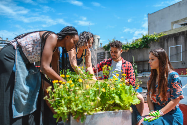 A community garden where people of all ages are working together.