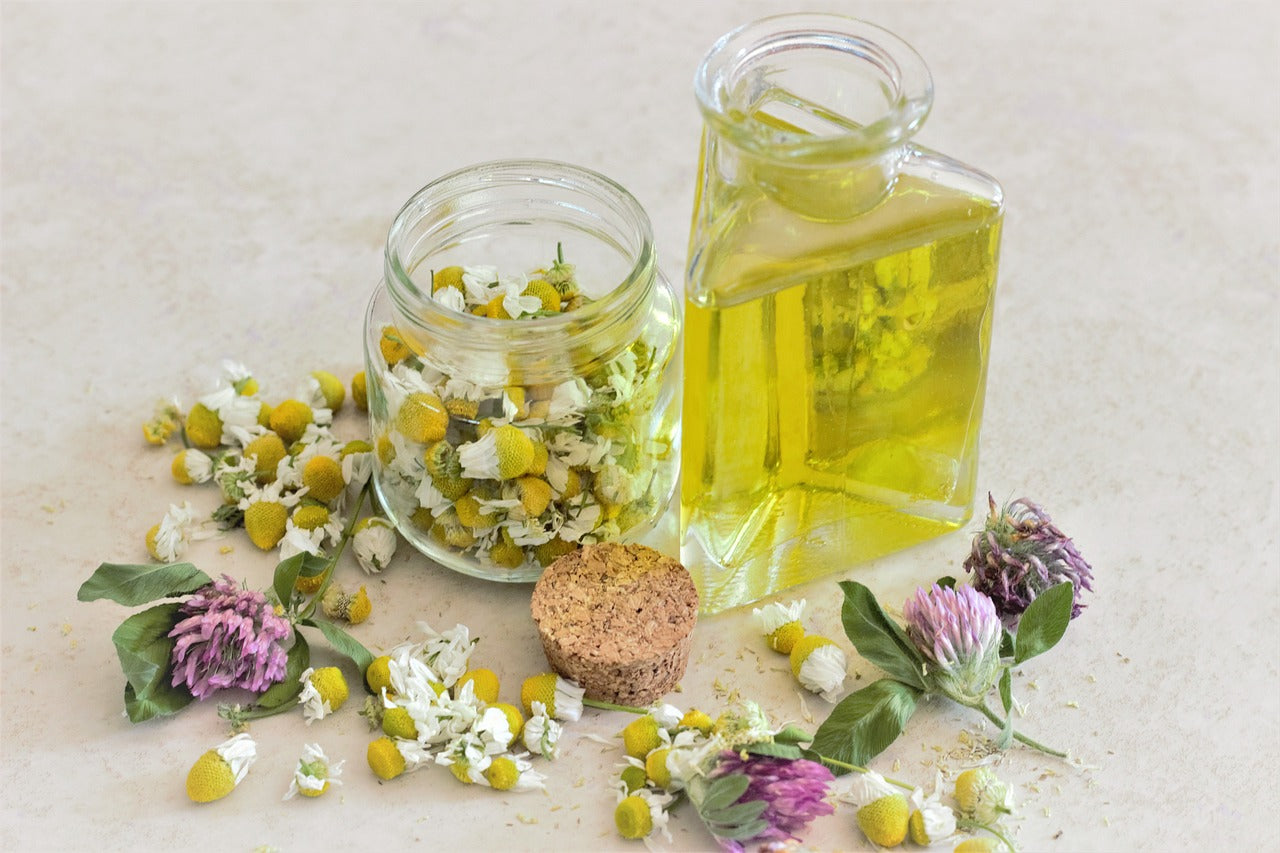 Jar of dried chamomile flowers and oil