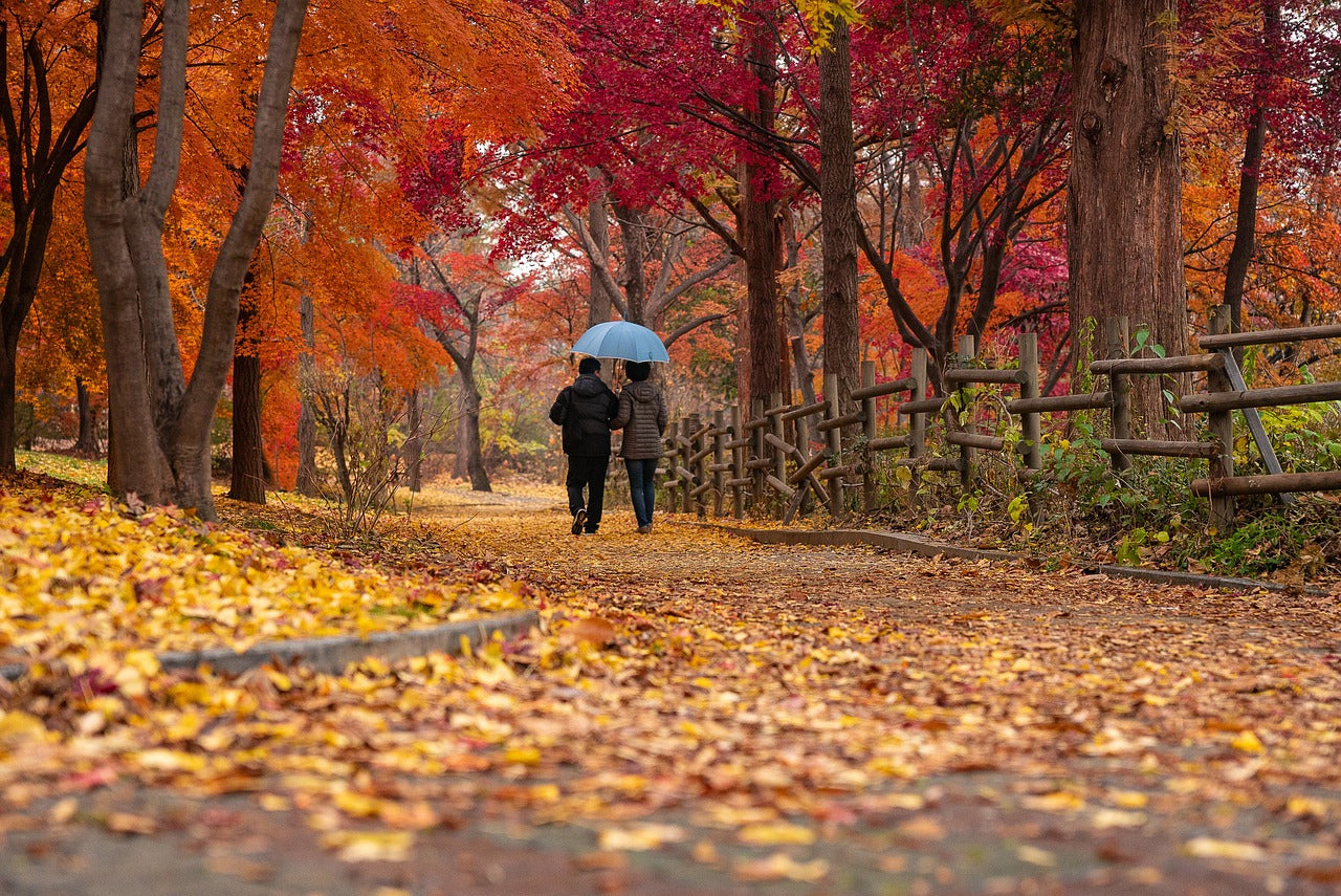 Couple walking in autumn