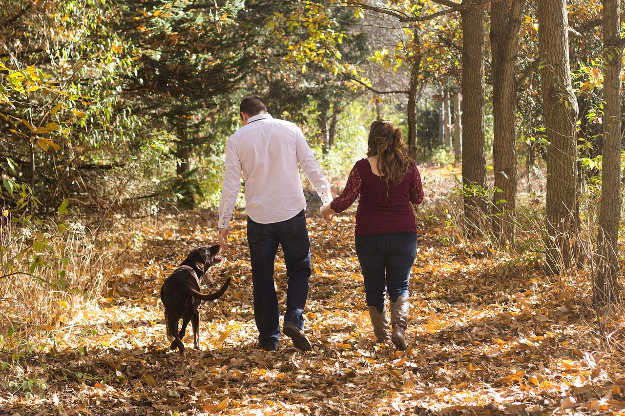 Couple walking down path with dog in fall
