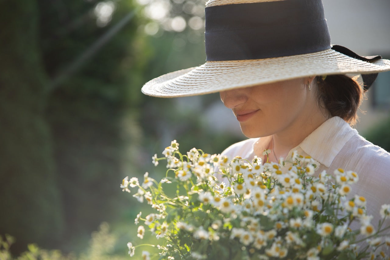 Person wearing hat carrying chamomile flowers