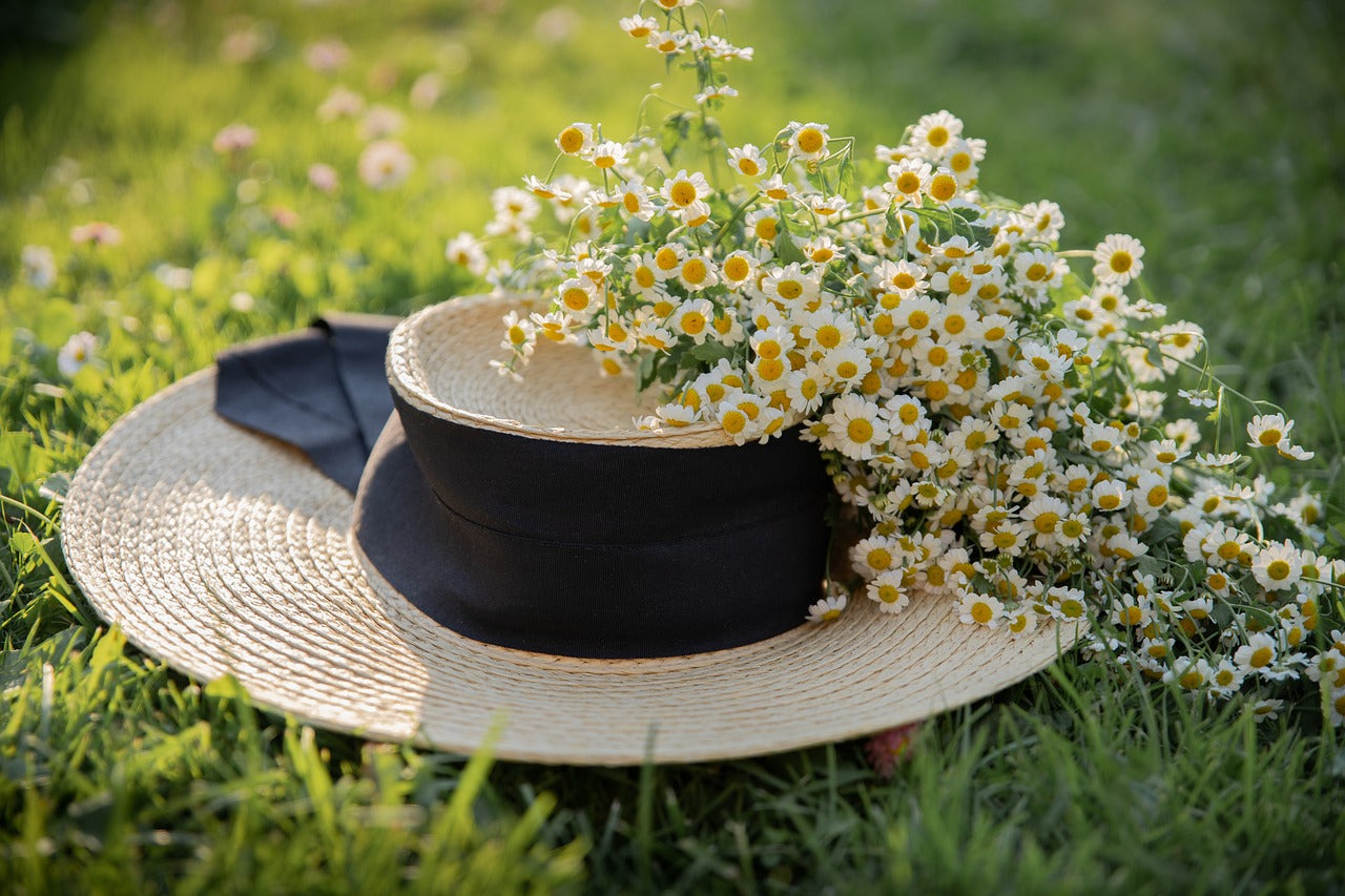 Sun hat with chamomile flowers piled on it