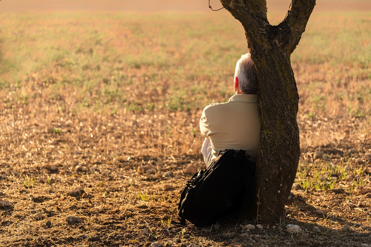 Person relaxing by a tree