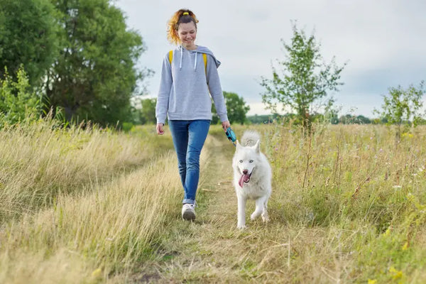 A person walking with her dog.