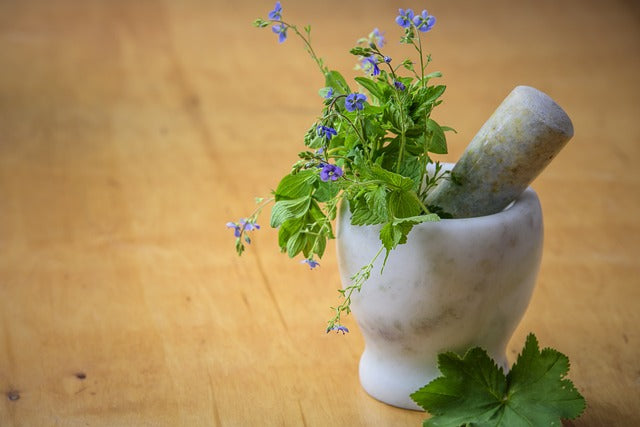 Mortar and pestle containing herbs