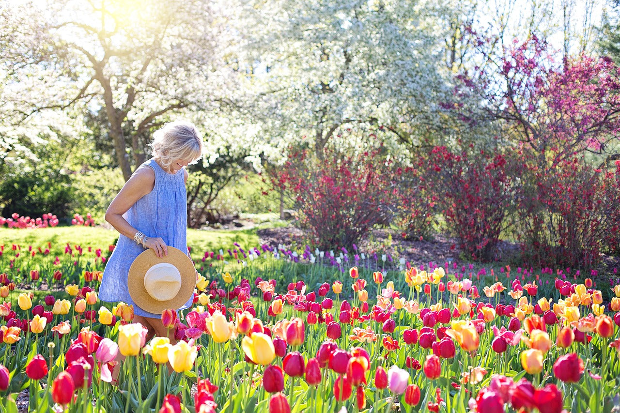 Older person walking among tulips