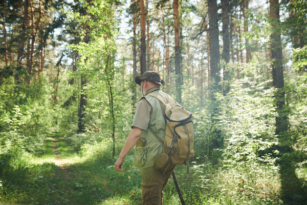 A person walking along a quiet park path surrounded by trees and sunlight.