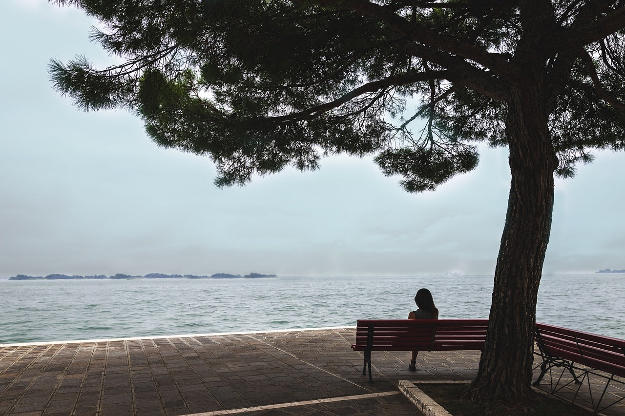 Person sitting on bench overlooking water