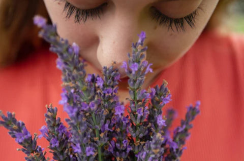 close up picture of beautiful woman smelling lavender flowers