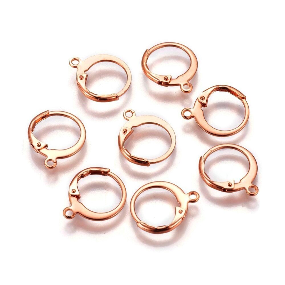 Gold Stainless Steel French Earring Hooks 10 Pcs 5 Pairs Hypoallergenic 