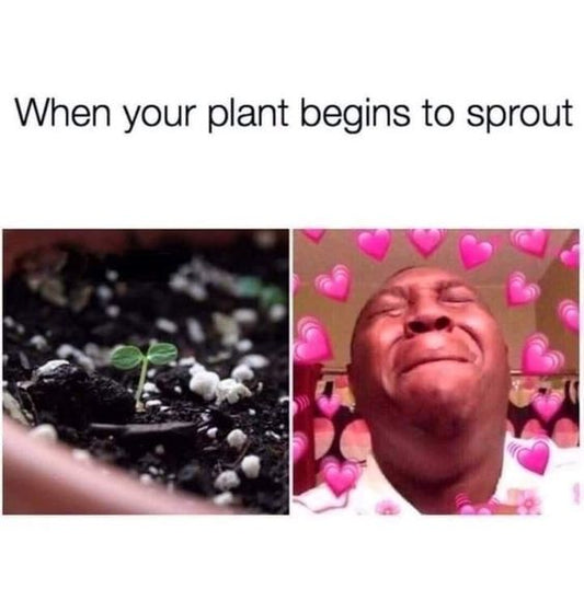 memes about gardening