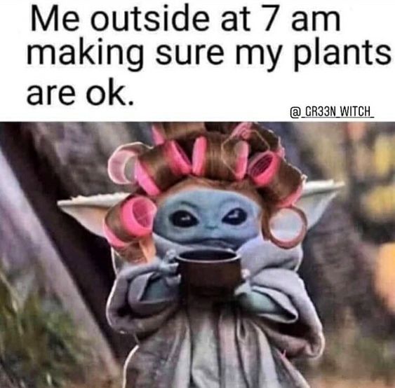 funny meme quotes jokes about gardening