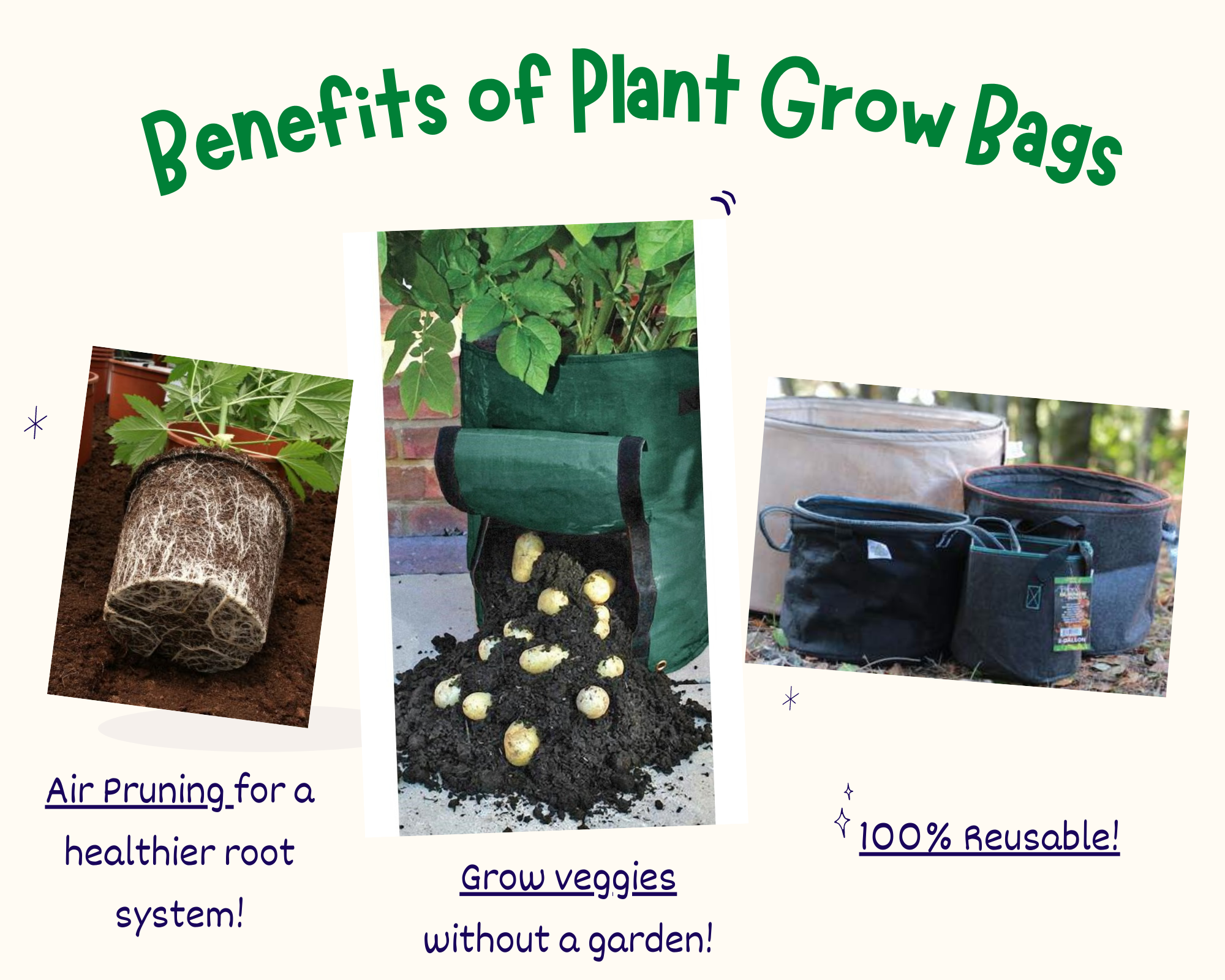 Pros and Cons of Grow Bags for Gardening